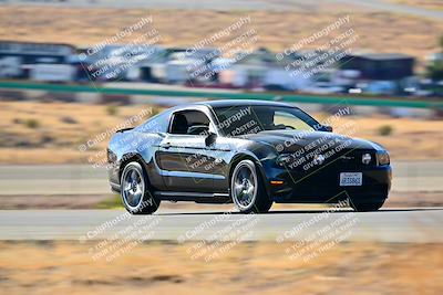media/Nov-16-2024-Extreme Speed (Sat) [[6587d07cc4]]/Gold Group/Session 1 (Turn 2)/